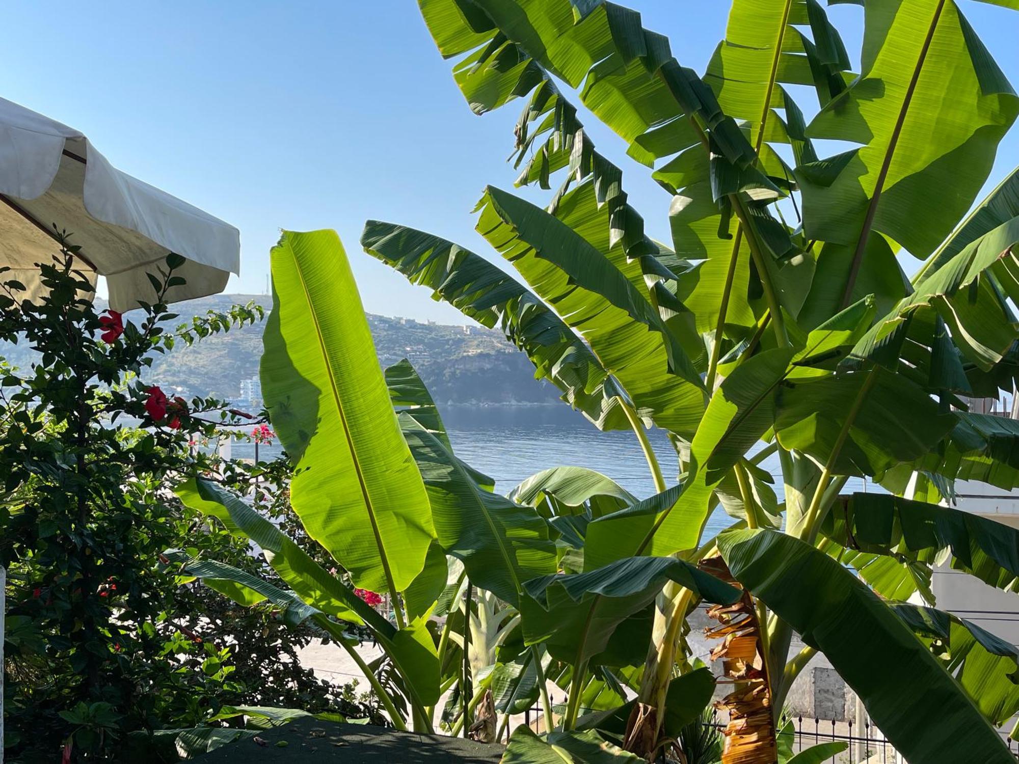 Apartment Ionian View