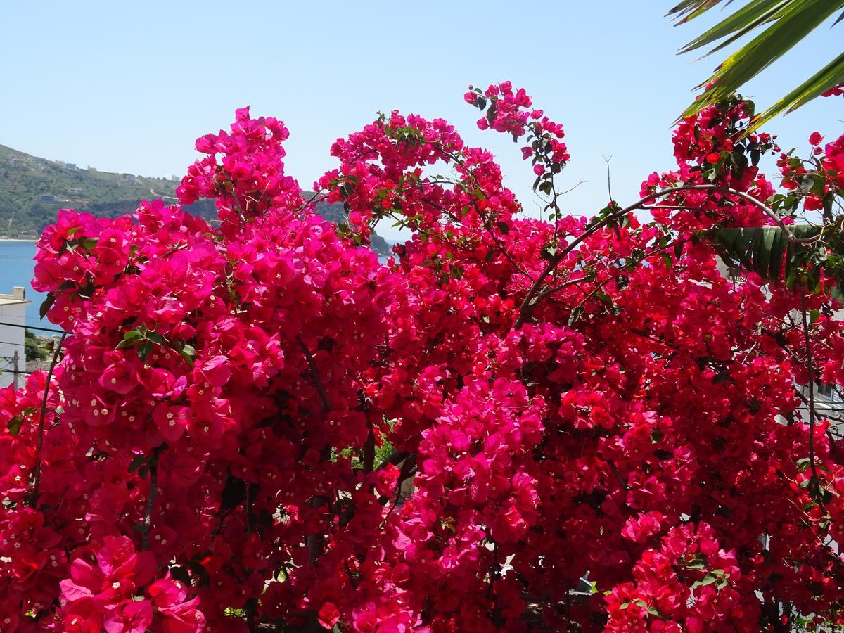 Ionian View Apartment